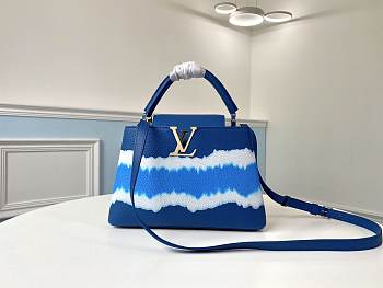 Louis Vuitton CAPUCINES PM Bag