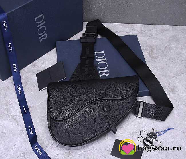 Dior Saddle bag 25cm 005 - 1
