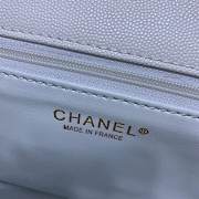 Chanel Handbag 23cm 001 - 2