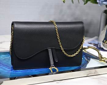 Dior Saddle Wallet on Chain Bag