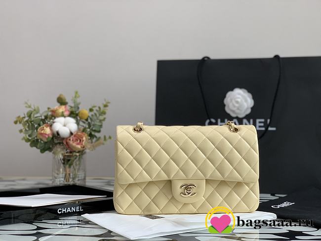 Chanel Flap Bag 25cm 001 - 1