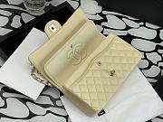 Chanel Flap Bag 25cm 001 - 5