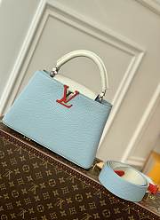 Louis Vuitton Capucines BB Bag 27CM 001 - 1