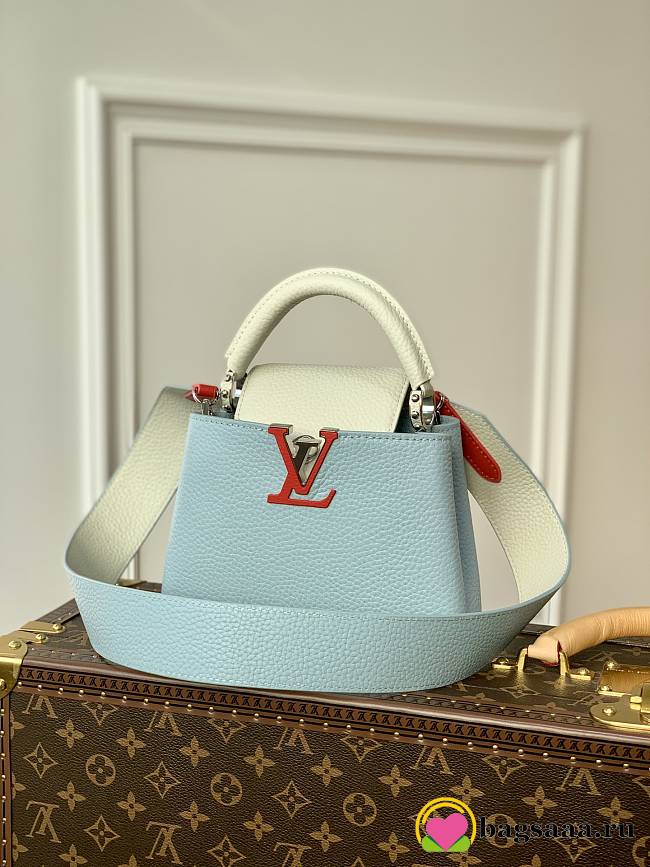 Louis Vuitton Mini Capucines bag 21cm 001 - 1
