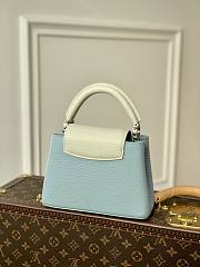 Louis Vuitton Mini Capucines bag 21cm 001 - 5