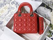 Lady Dior bag 20cm 004 - 2