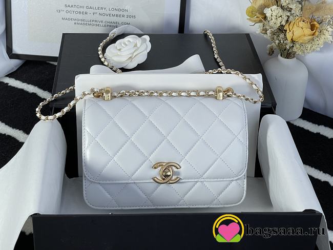 Chanel Shoulder bag 17cm - 1