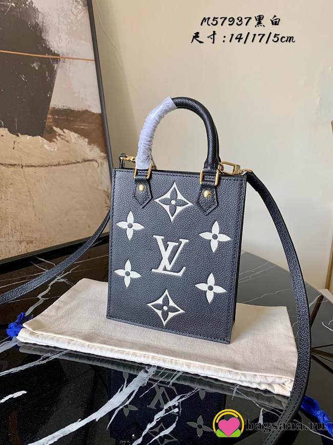Louis Vuitton Petit Sac Plat bag 001 - 1