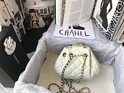 Chanel Bucket bag AS1802 002 - 4