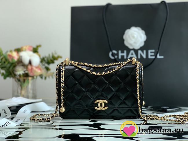 Chanel Calfskin Wallet On Chain Woc Bag - 1