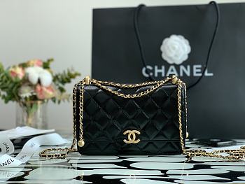 Chanel Calfskin Wallet On Chain Woc Bag