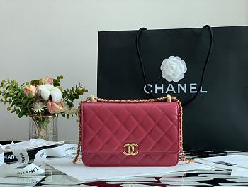 Chanel Calfskin Wallet On Chain Woc Bag 001