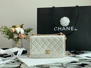 Chanel Calfskin Wallet On Chain Woc Bag 002 - 1