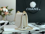 Chanel Calfskin Wallet On Chain Woc Bag 002 - 6