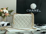 Chanel Calfskin Wallet On Chain Woc Bag 002 - 2