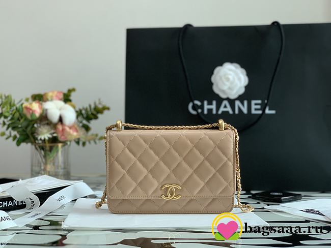 Chanel Calfskin Wallet On Chain Woc Bag 003 - 1