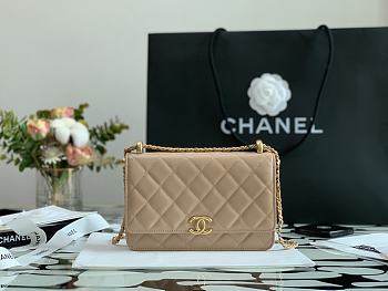 Chanel Calfskin Wallet On Chain Woc Bag 003