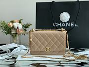 Chanel Calfskin Wallet On Chain Woc Bag 003 - 4