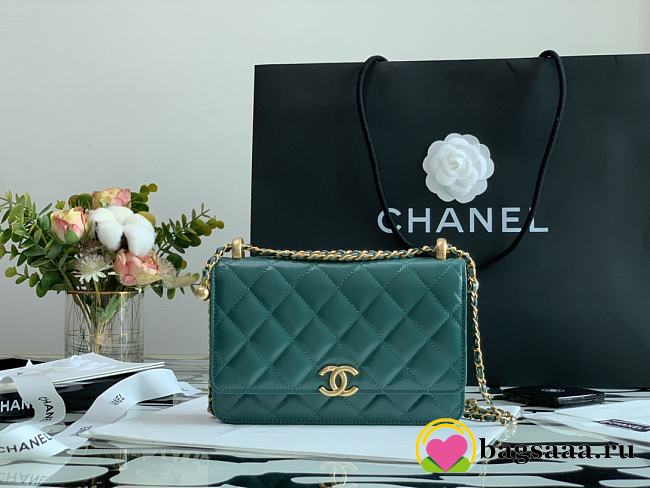 Chanel Calfskin Wallet On Chain Woc Bag 005 - 1