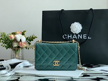 Chanel Calfskin Wallet On Chain Woc Bag 005