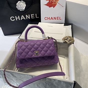 Chanel Coco Handle 23cm Bag