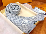 Louis Vuitton scarf 002 - 4