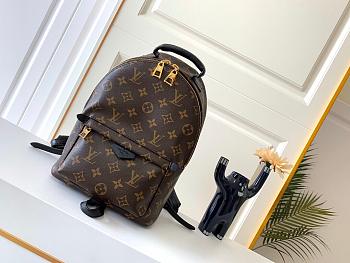 LV PALM SPRINGS PM BACKPACK M44871
