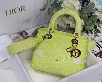 Lad Dior Green bag 24cm