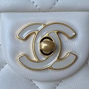 Chanel bag AS3113 - 5