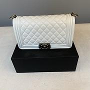 Chanel Leboy Bag Lambskin 25cm Silver hardware White  - 1
