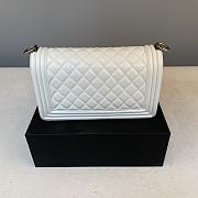 Chanel Leboy Bag Lambskin 25cm Silver hardware White  - 5