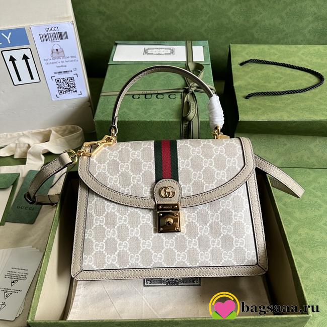 Gucci Ophidia small GG top handle bag 651055 - 1