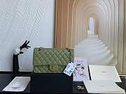 Chanel Flap Bag Caviar in Light Green 25cm with Gold Hardware - 1