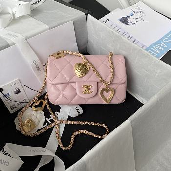 Chanel Flap Bag Pink AS3456