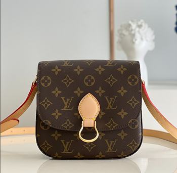 Louis Vuitton Saint Cloud M51243 Bag