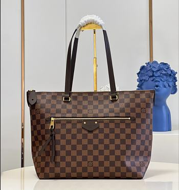 Louis Vuitton Monogram Tote Bag M41013