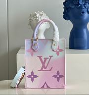 Louis Vuitton Petite Sac Plat Bag M81341 - 1