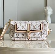 Louis Vuitton Maxi Pochette Accessoires Bag M20920  - 1