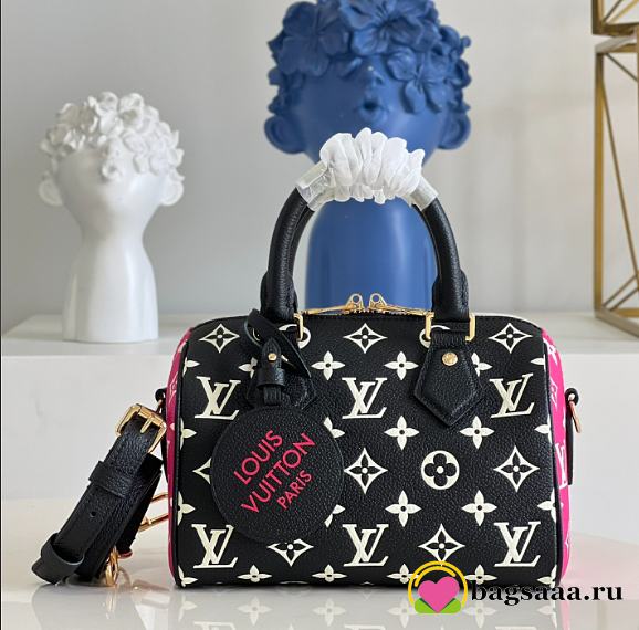 LOUIS VUITTON SPEEDY 20cm M46008 - 1