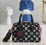 LOUIS VUITTON SPEEDY 20cm M46008 - 1