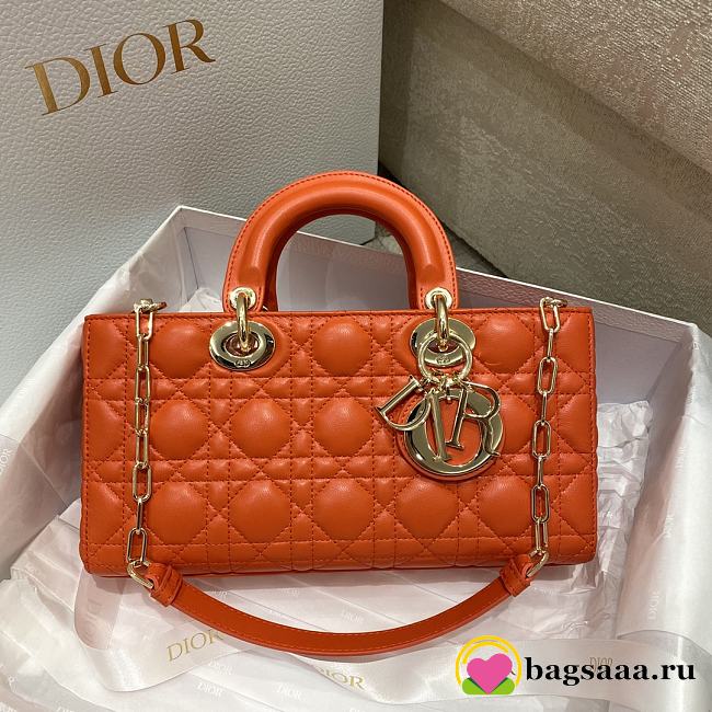 Dior Lady D-joy Bag Orange 26cm - 1