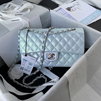 Chanel Classic Flap Bag A01116 25cm