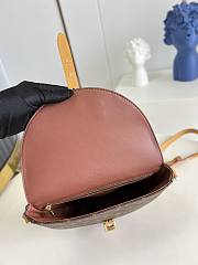 Louis Vuitton Saddle Bag M51233 - 2