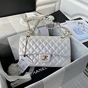 Chanel Classic Flap Bag A01112 25CM - 1