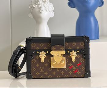 Louis Vuitton Box Bag M44199