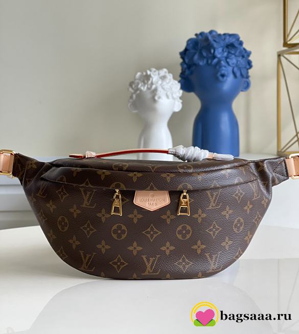 Louis Vuitton Bumbag Monogram Bag M43644 - 1