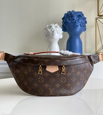 Louis Vuitton Bumbag Monogram Bag M43644