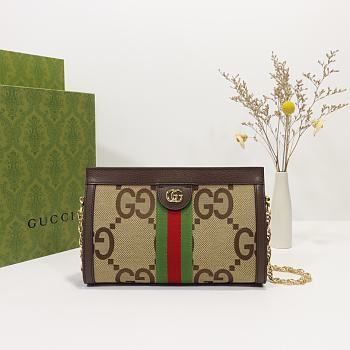 Gucci Ophidia GG Small Shoulder Bag 01