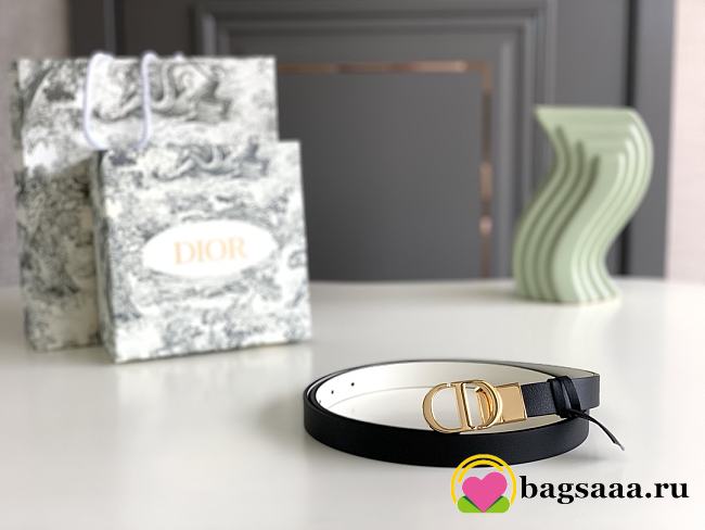 Dior Belt - 1