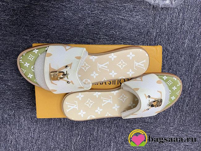 Louis Vuitton Slipper Euro 41(no discount) - 1